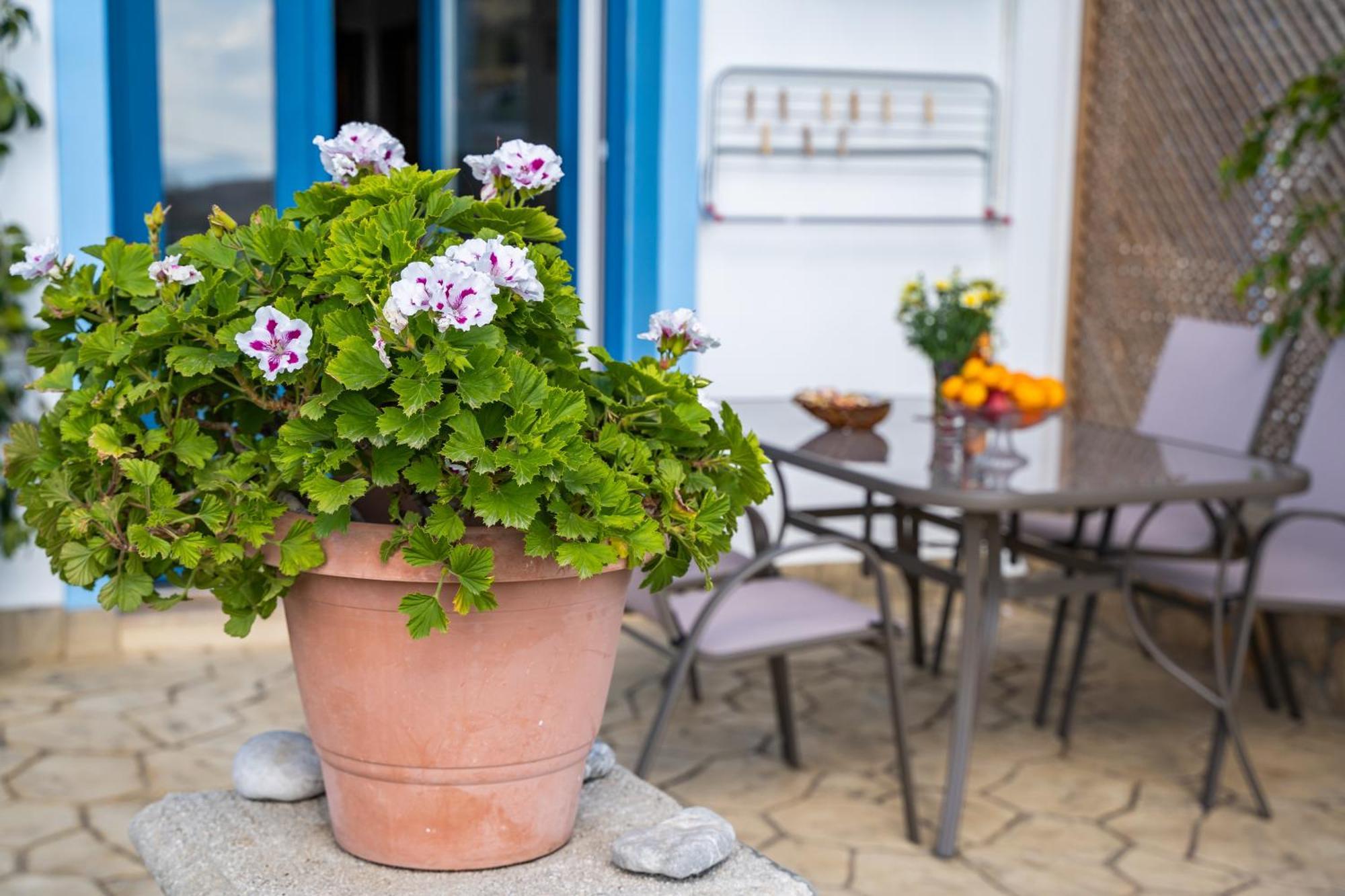 Venetia'S Garden Apartment Lefkos  Ngoại thất bức ảnh